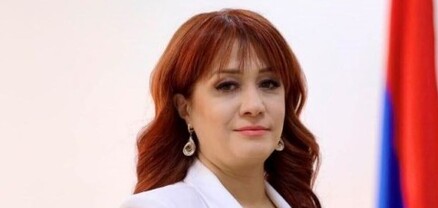 ՀՀ տարածքը հատելիս մեր երկրի համապատասխան ծառայություններին չհանդիպելու որևէ տարբերակ չկա. Փաշինյանի օգնականը՝ Ալիևին