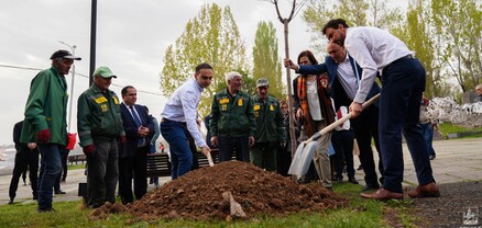 Մայրաքաղաքում գողացել, կոտրել են ծաղիկներ ու ծառեր. shamshyan.com