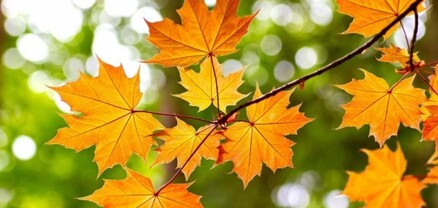 Առաջիկա օրերին օդի ջերմաստիճանը կնվազի