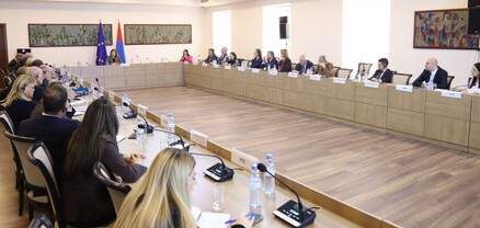 Սրբուհի Գալյանը ԵՄ անդամ երկրների դեսպաններին է ներկայացրել ոլորտային բարեփոխումները
