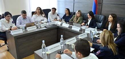 ՀՀ ՊԵԿ-ը առաջին անգամ նախագահել է Սևծովյան տնտեսական համագործակցության Մաքսային հարցերով աշխատանքային խմբի նիստը
