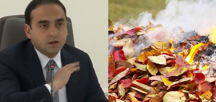 Քավության նոխազ են գտել. թու՛ աշնան տերևի վրա