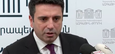 Զnhերի անուններն անձնական տվյալներ են, ՔԿ-ն է ասում 3833, ես կրկնում եմ. Ալեն Սիմոնյան