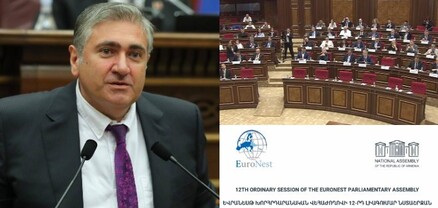 Ադրբեջանն ու Թուրքիան ձգում են ՀՀ-ի պարանոցի պարանը, սրանք Վրաստանի դեմ բանաձևին կողմ են քվեարկում