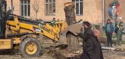 Երևանը ծառազուրկ անողը նախօրեին ՔՊ վարչության նիստի էր հրավիրված․ ապաշխարհեք, ծանրագույն մեղքի տակ եք