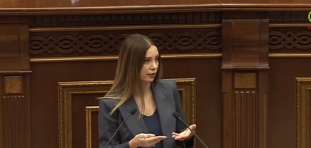 Անթույլատրելի է, որ սահմանին ծառայողը ավելի ցածր ստանա, քան պարեկը. Աննա Գրիգորյան