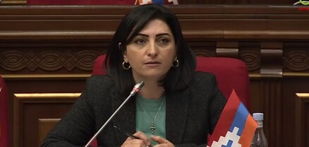 Իբր ի՞նչ եք անում, մարդիկ պոլիկլինիկաներում պետպատվերից օգտվում էին․ Թագուհի Թովմասյան