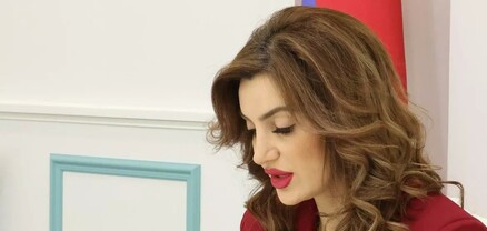 Դիանա Գասպարյանի վերաբերյալ քրեական վարույթի նախաքննությունն ավարտվել է. Հակակոռոպցիոն կոմիտե