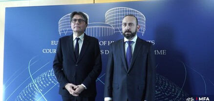 Արարատ Միրզոյանը հանդիպում է ունեցել ՄԻԵԴ նախագահի հետ