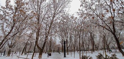+14․․․+18. Տավուշում և Սյունիքում գարնանային տրամադրություն է․ Սուրենյան