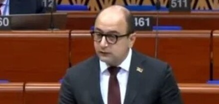 Իմ երկիրը քաղաքականապես բռնшզավթված է Փաշինյանի կողմից, ֆիզիկապես՝ Ալիևի. Մամիջանյանը՝ ԵԽԽՎ-ում