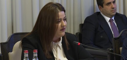 ՀՀ-ում օտարերկրյա ներդրողները կունենան տեղացի ներդրողներին հավասար իրավունքներ և պարտականություններ