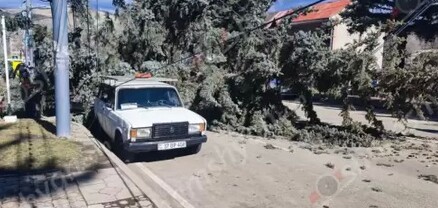 Վանաձորում հսկայական եղևնու տապալվելուց վնասվել են ավտոմեքենաներն ու գազախողովակը