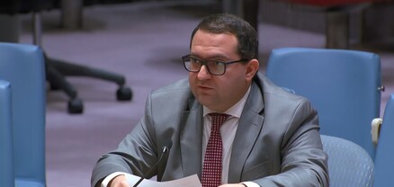 Գազայից տասնյակ երեխաների բուժումը, հնարավոր է,  կկազմակերպվի ՀՀ-ում
