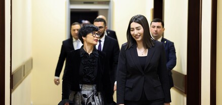 ԵՄ հանձնակատարը գերազանց է գնահատել ԵՄ վիզաների ազատականացման ուղղությամբ ՆԳ նախարարության կատարած աշխատանքը․ ՆԳՆ