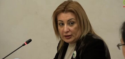 63+ տարիքը փոխարինվել է 65-ով․ իշխանությունը շեղվել է ապահովագրության հայեցակարգից․ Անուշ Պողոսյան