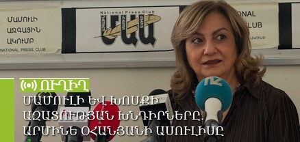 Մամուլի և խոսքի ազատության խնդիրները. Արմինե Օհանյանի ասուլիսը․ ՈւՂԻՂ