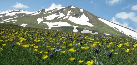 Սպասվում է առանց տեղումների եղանակ. օդի ջերմաստիճանը կնվազի