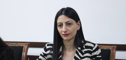 Յուրաքանչյուր ոք ունի իր կարծիքն ազատ արտահայտելու իրավունք՝ ներառյալ իշխանությունների գործունեության վերաբերյալ քննադատական դիրքորոշում ներկայացնելու իրավունքը. ՄԻՊ