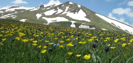 Սպասվում է առանց տեղումների եղանակ. օդի ջերմաստիճանը կբարձրանա 7-10 աստիճանով