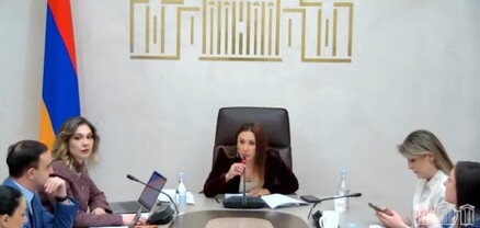 Սրբուհի Գալյանը ԱԺ-ում օրինագիծ է ներկայացնում. ՈւՂԻՂ