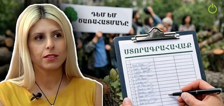 Դադարեցնե՛լ ծառերի սպանդը. 2 օրում 338 ստորագրություն է հավաքվել