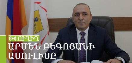 Ինչու են Երևանում հատվում ծառերը․ Արմեն Բեգոյանի ասուլիսը. ՈւՂԻՂ