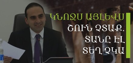 Շատ եմ խնդրում՝ այլևս կնոջս շուն չտալ. մեր տանն էլ տեղ չկա. Ավինյան