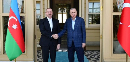 Էրդողանը Ալիևի հետ զրույցում դատապարտել է ԱԹՍ-ների հարձակումը Նախիջևանի վրա