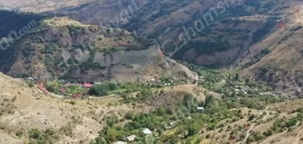 Արտակարգ դեպք՝ Վայոց ձորի մարզում․ Հերմոնում արջը հոշոտել է գյուղացուն պատկանող ցուլիկին