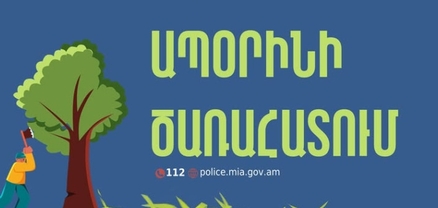 Տավուշում ապօրինի ծառահատման դեպք է բացահայտվել