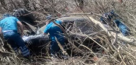 Կոտայքի մարզում բախվել են Mercedes-ն ու BMW-ն. վերջինը հայտնվել է ծառերի մեջ. կա վիրավոր