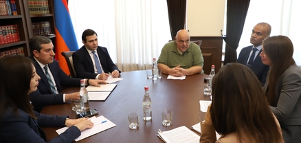 ԲԴԽ նախագահը ԵԽ գործընկերների հետ քննարկել է առաջիկա անելիքները