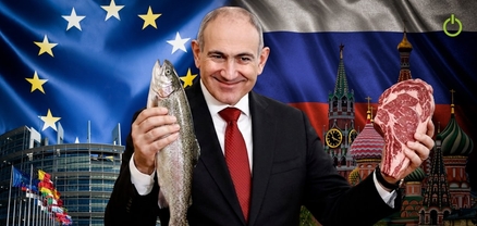 Ձո՞ւկ, թե՞ միս. ո՞վ է Փաշինյանը