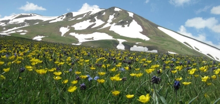 Օդի ջերմաստիճանը մայիսի 9-12-ին աստիճանաբար կբարձրանա 5-7աստիճանով