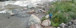 Փամբակ գետում վաղ առավոտից շարունակվում են 7 և 13-ամյա քույրերի որոնողական աշխատանքները․ shamshyan.com