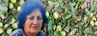 Ձվի չափ կարկուտ էր, որ էլի շարունակվեր, տները վրեքս կփլվեին, ապրուստներս սրբեց-տարավ