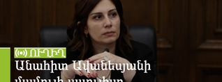 Անահիտ Ավանեսյանի մամուլի ասուլիսը. ՈւՂԻՂ