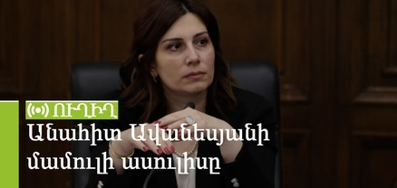 Անահիտ Ավանեսյանի մամուլի ասուլիսը. ՈւՂԻՂ
