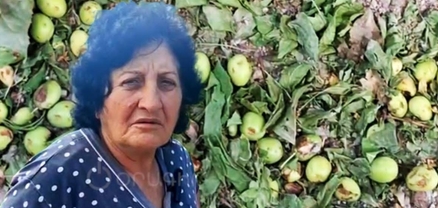 Ձվի չափ կարկուտ էր, որ էլի շարունակվեր, տները վրեքս կփլվեին, ապրուստներս սրբեց-տարավ