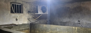 Տաշիրում պանրի արտադրամասի գործունեություն է կասեցվել