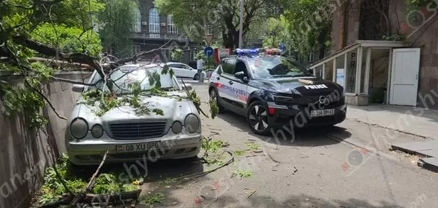 Արտակարգ դեպք՝ Երևանում․ ծառն արմատից պոկվել ու տապալվել է․ մի քանի ուսանողներ հրաշքով են փրկվել․ shamshyan.com