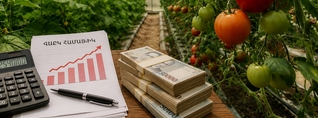 Ռուսաստանը փակում է շուկան, կառավարությունը երկարացնում է վարկերի ժամկետները․ ինչու՞ են փոխում ջերմատնային տնտեսությունների աջակցության ծրագիրը. Ժողովուրդ
