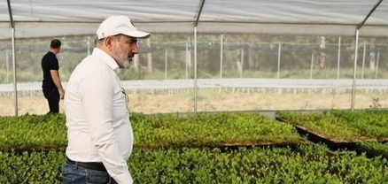 Ինչպես է իշխանությունը հերթական անգամ լքում գյուղացուն տնտեսական քաոսի նախաշեմին. Փաստ