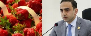 Ելակն արտահանում են թուրքականի անվան տակ․ Հրապարակ
