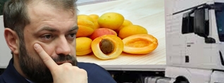 Ոսկեգույն պատրանք. Պապոյանը հաշվում է բեռնատարները, գյուղացին՝ իր կորուստները