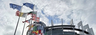 Թուրքիայում իրավունքի գերակայությունն անկում է ապրում. ԵԽ պատգամավոր