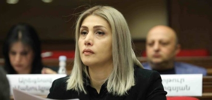 Ոչ ոք իրավունք չունի գողանալ ժողովրդի ձայնը, իշխանության աղբյուրը ժողովուրդն է. Էլինար Վարդանյան