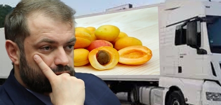 Ոսկեգույն պատրանք. Պապոյանը հաշվում է բեռնատարները, գյուղացին՝ իր կորուստները