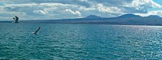 Որքան է Սևանա լճի ջրի ջերմաստիճանը